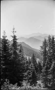 Misty Mountain Landscape in Black and White